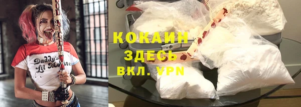 СК Строитель