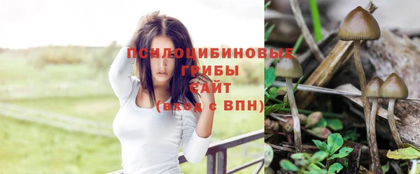 spice Володарск