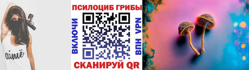 Псилоцибиновые грибы Psilocybine cubensis  Старица 